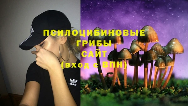 соль ск Богородицк
