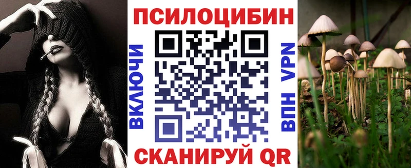 как найти закладки  Кушва  kraken   Псилоцибиновые грибы мицелий 
