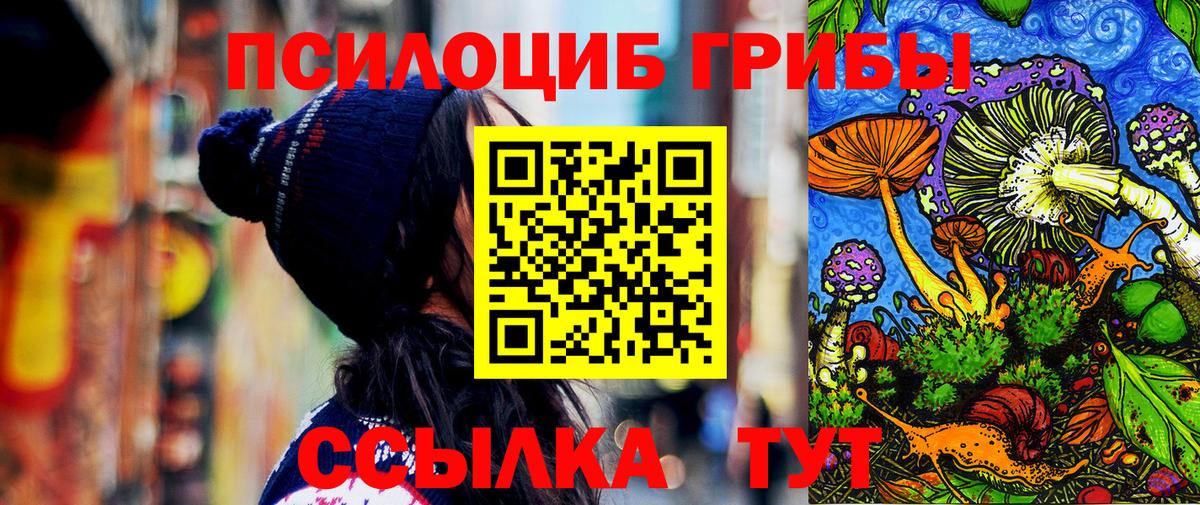 Галлюциногенные грибы Psilocybe Кушва