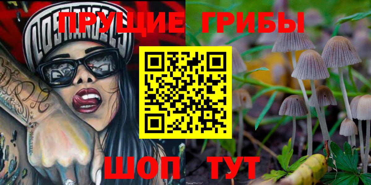 Псилоцибиновые грибы Psilocybe  Вход с VPN  Кушва 